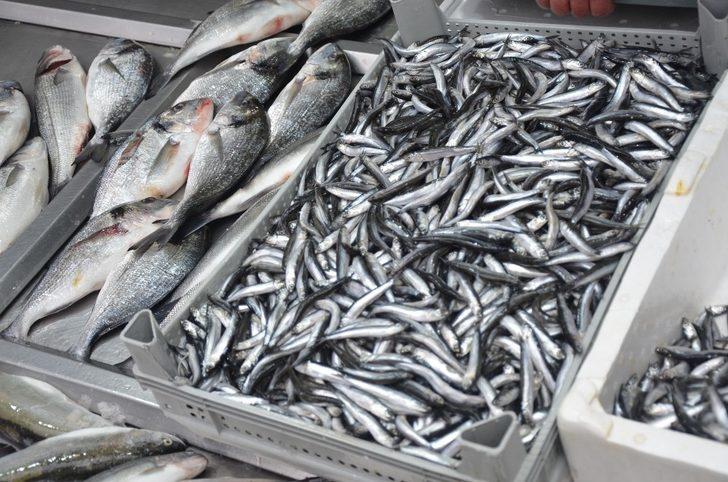 Kar yağışları balık tezgahlarını etkiledi G1