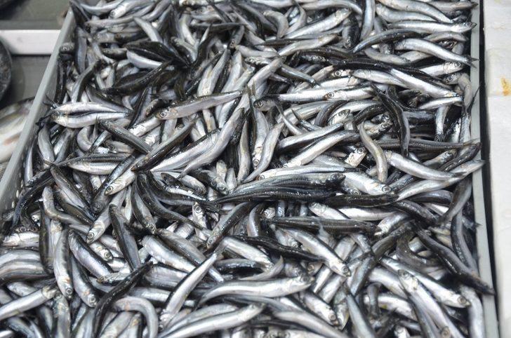 Kar yağışları balık tezgahlarını etkiledi G2