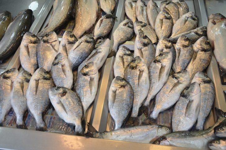 Kar yağışları balık tezgahlarını etkiledi G3