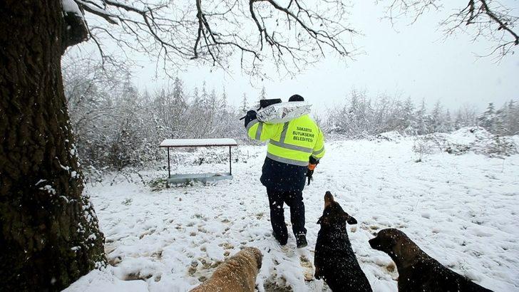 Büyükşehir sokak hayvanlarını unutmadı G4