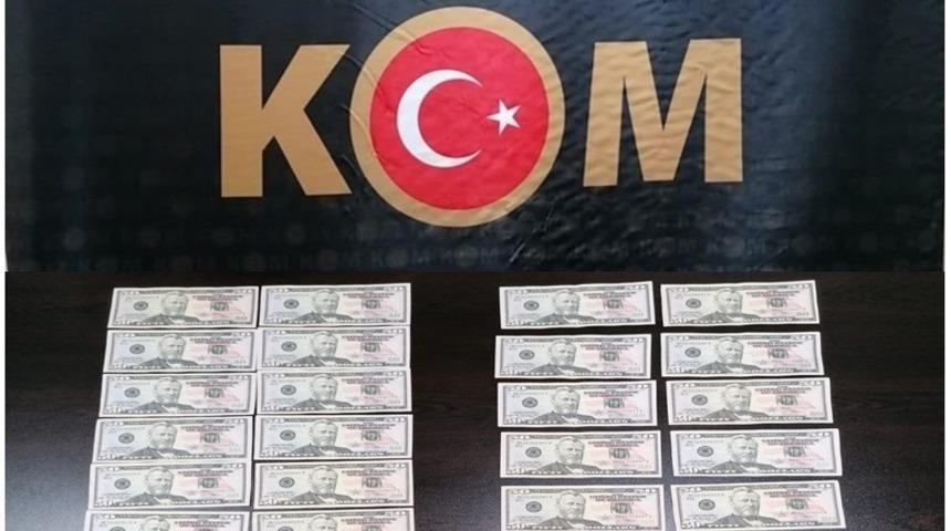 Antalya’da sahte para operasyonunda 5 gözaltı