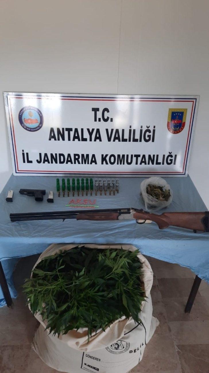 Uyuşturucu serasına dönüştürülen depoya jandarma baskını G4