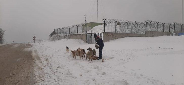 Jandarma doğadaki hayvanları unutmadı G2
