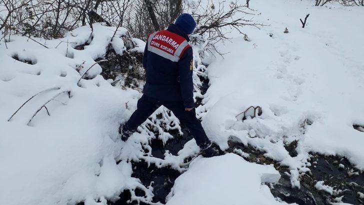 Dereyi kirleten zeytinyağı fabrikasına ceza G1