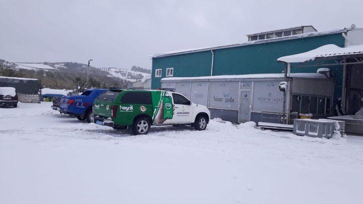 Dereyi kirleten zeytinyağı fabrikasına ceza G4