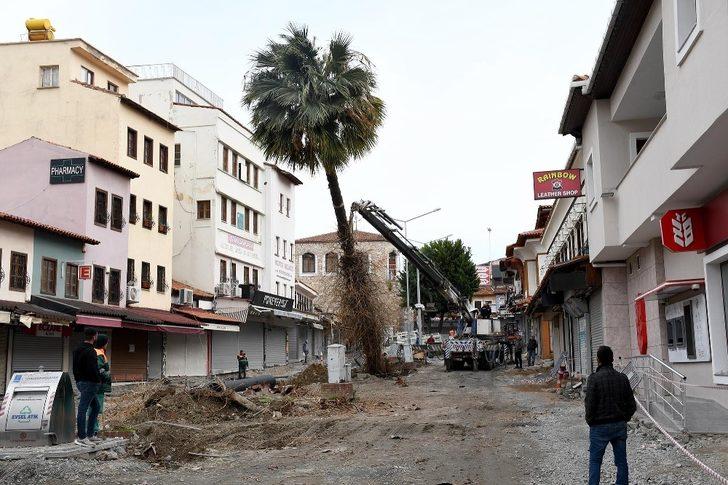 Kuşadası’nda palmiyeler Adagöl’ü süsleyecek G3