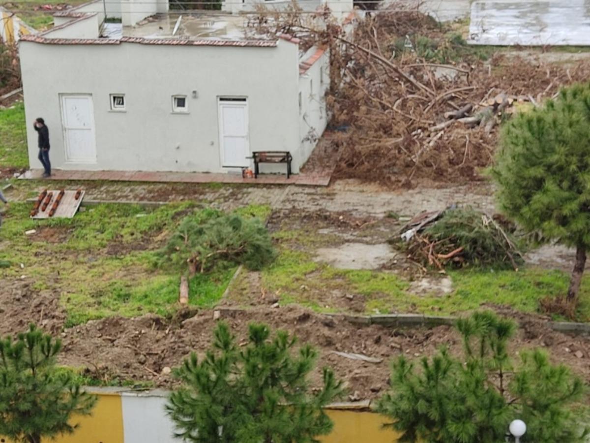 Buldan&rsquo;da belediye halı sahanın yanında bulunan ağa&ccedil;ları kesti