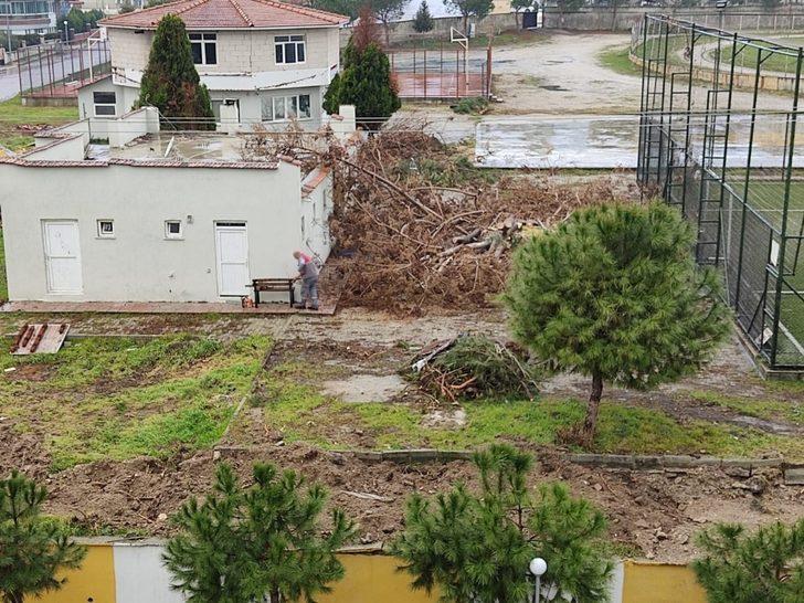 Buldan’da belediye halı sahanın yanında bulunan ağaçları kesti G5