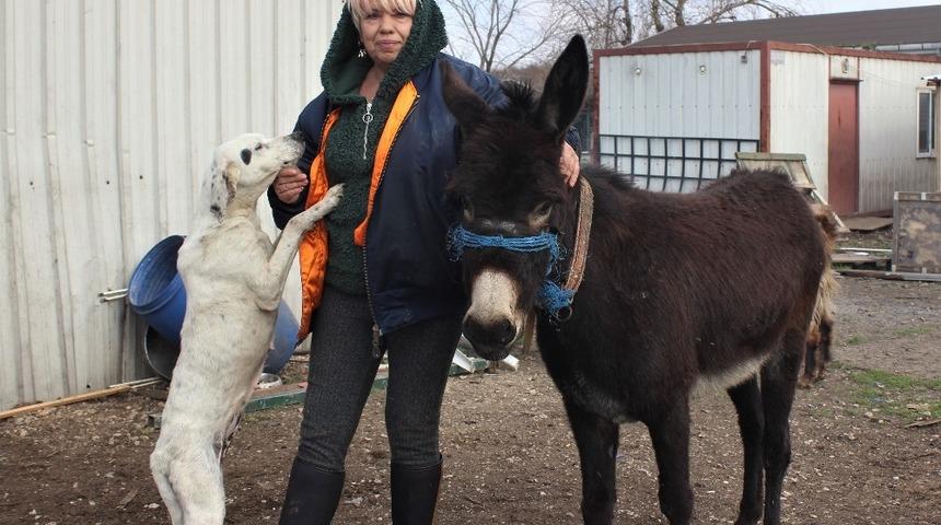 Sucuk olmaktan kurtardığı eşeğe gözü gibi bakıyor