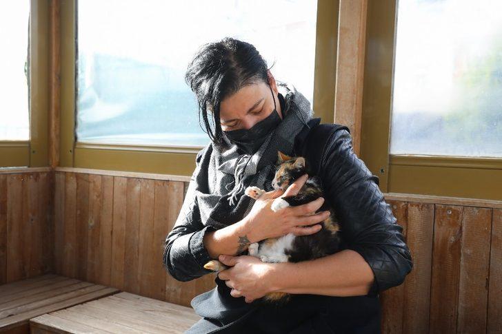 Buca Belediyesi 17 bin kediye kucak açtı G2