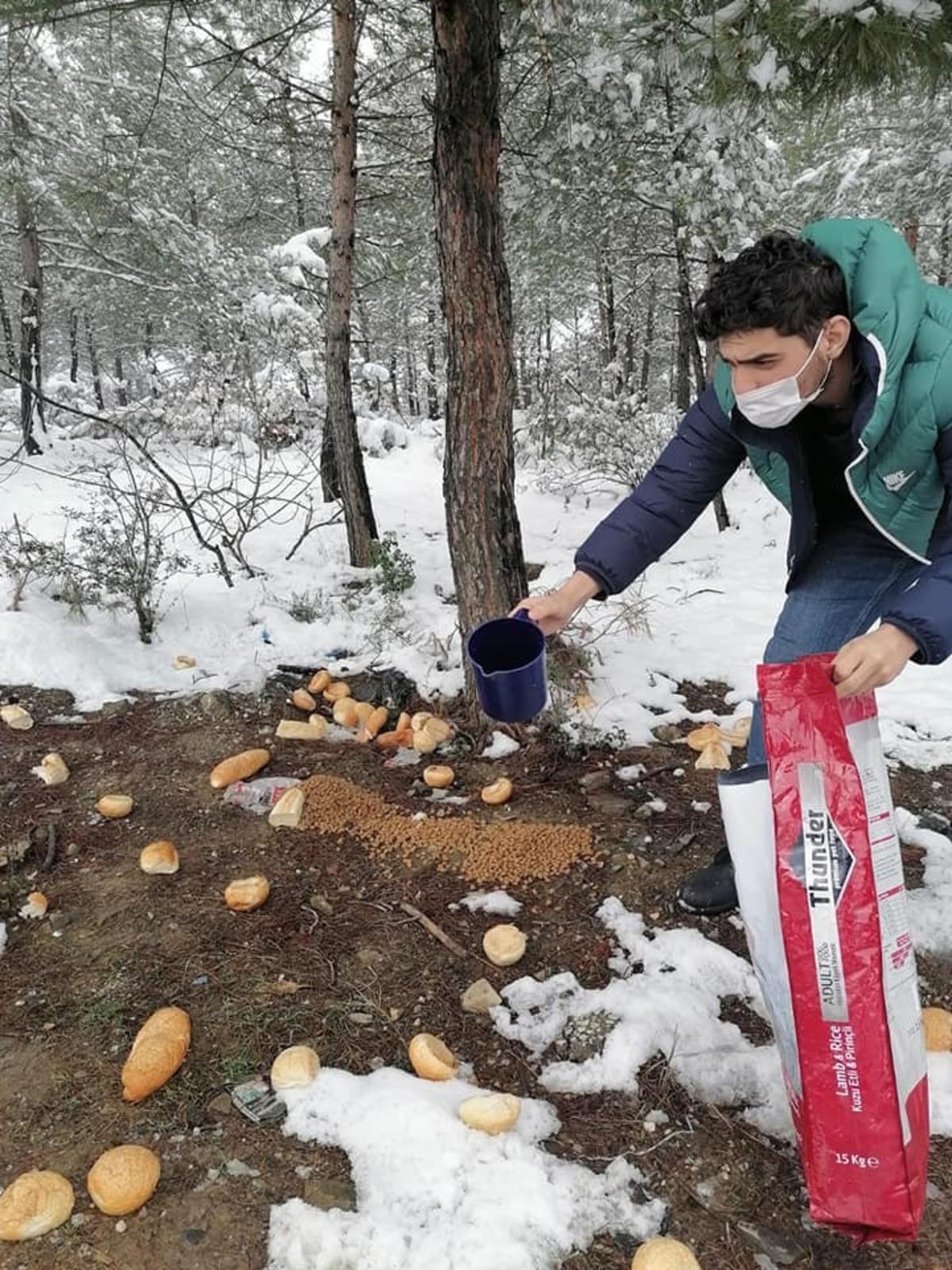 Doğadaki sahipsiz hayvanlara her g&uuml;n yem bırakıyorlar