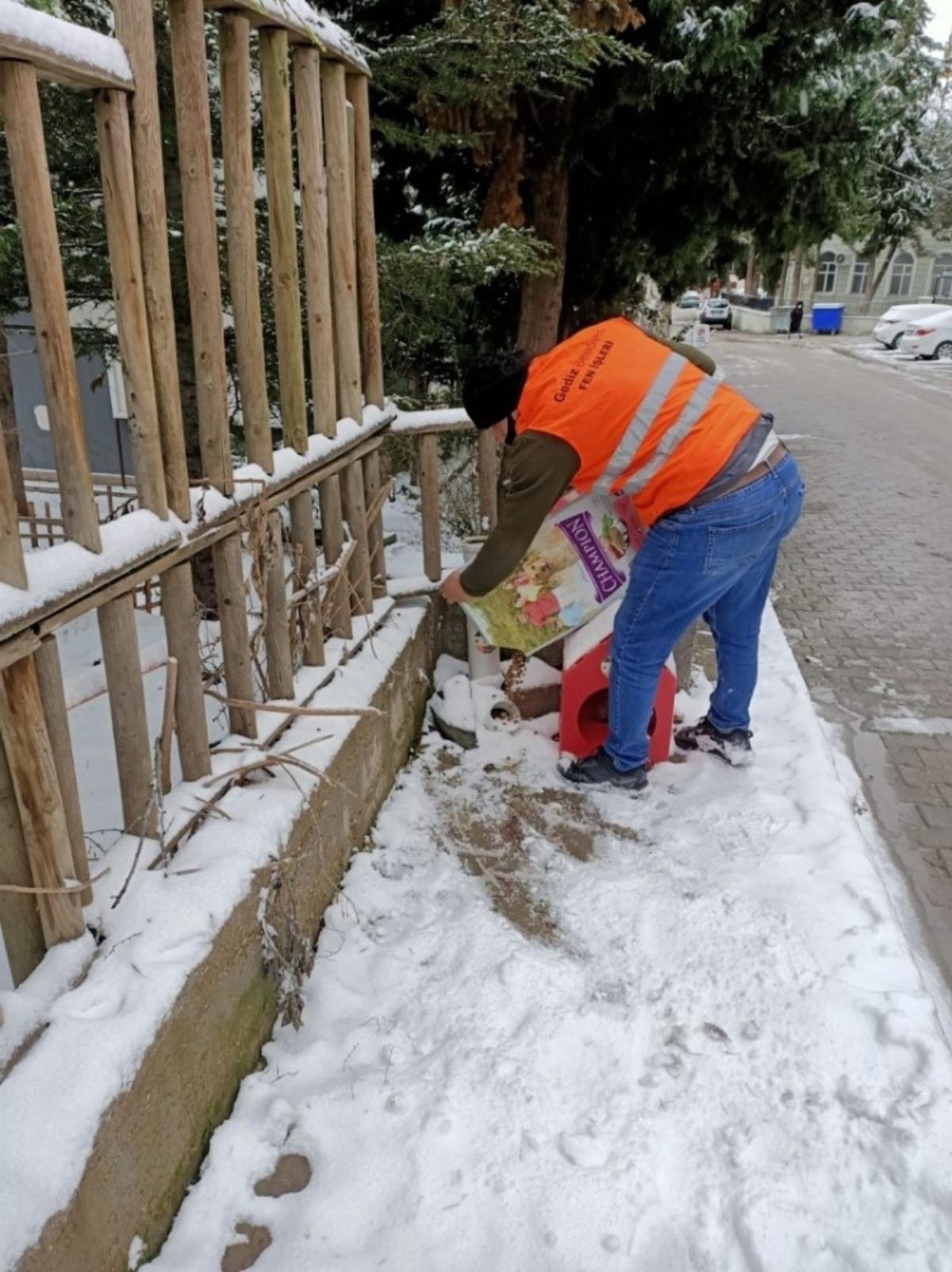 Gediz Belediyesi soğuk g&uuml;nlerde sokak hayvanlarını unutmadı
