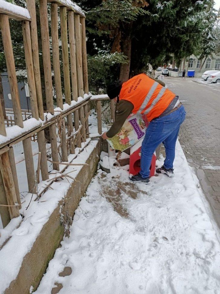 Gediz Belediyesi soğuk günlerde sokak hayvanlarını unutmadı G1