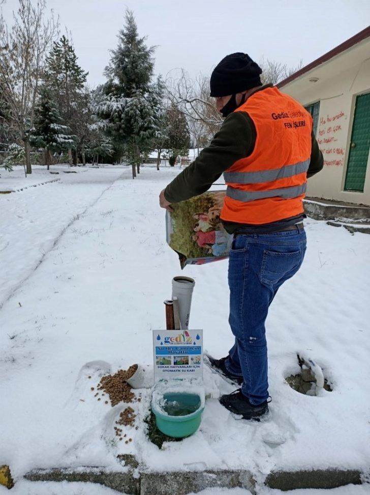 Gediz Belediyesi soğuk günlerde sokak hayvanlarını unutmadı G2