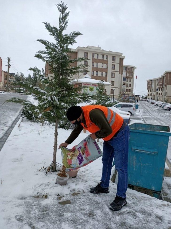 Gediz Belediyesi soğuk günlerde sokak hayvanlarını unutmadı G3