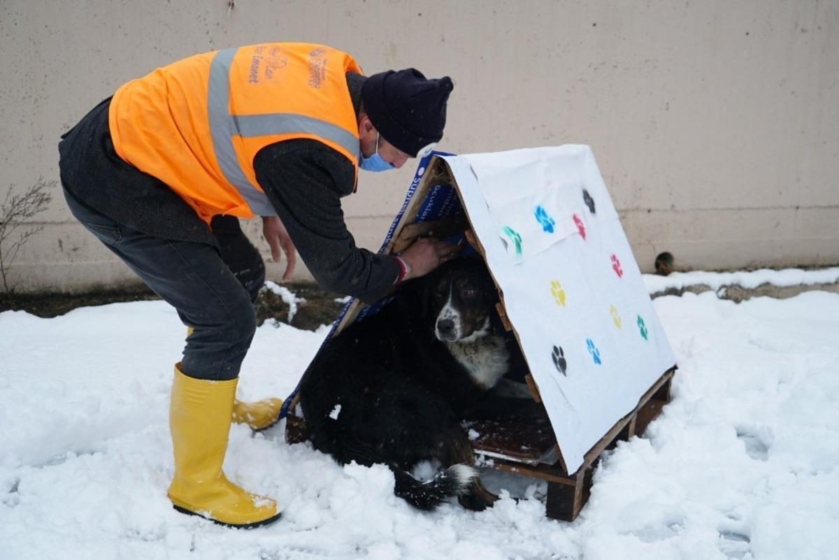 Altınordu&rsquo;da atık malzemeler, sokak hayvanlarına yuva oluyor