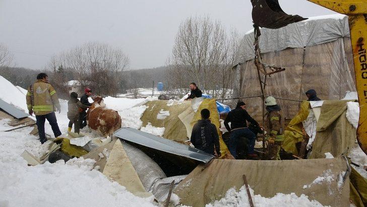 Ömerli’de çatısı çöken ahır havadan görüntülendi G5