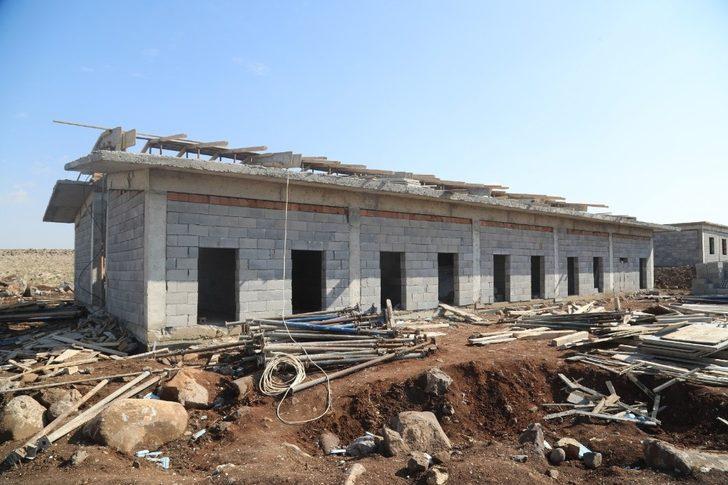 Siverek Hayvan Rehabilitasyon Merkezi çalışmaları sürüyor G2