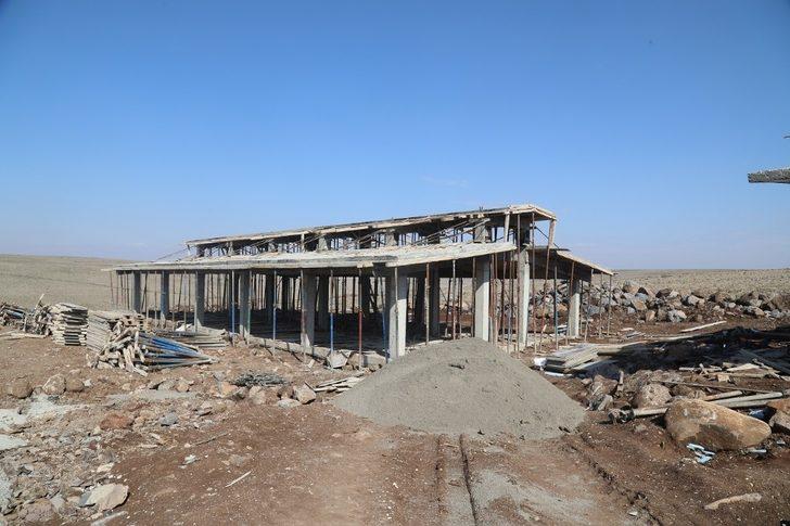 Siverek Hayvan Rehabilitasyon Merkezi çalışmaları sürüyor G3