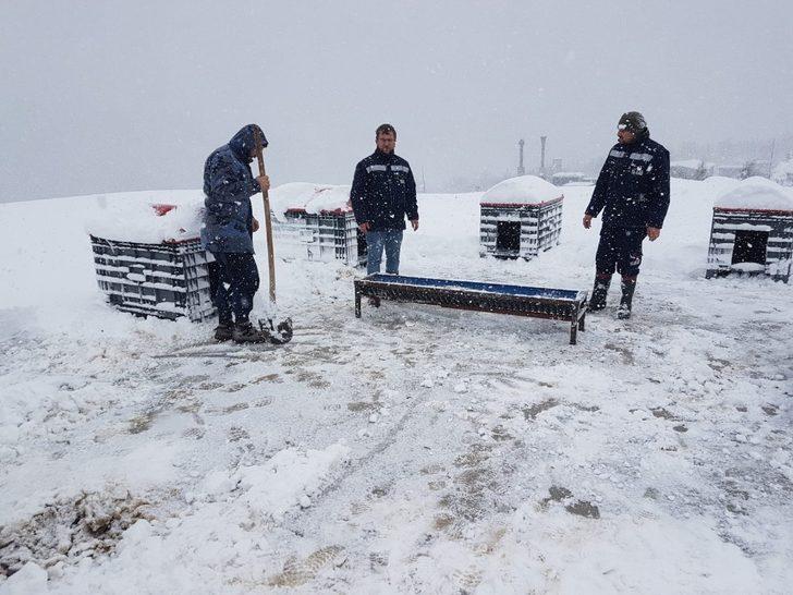 Sokaktaki dostlarımız emin ellerde G4