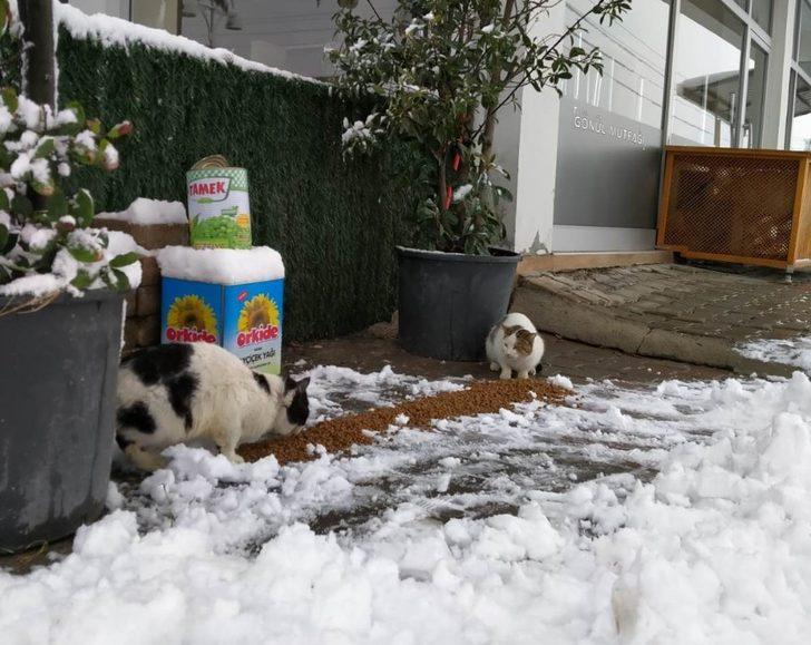 Sokaktaki dostlarımız emin ellerde G5