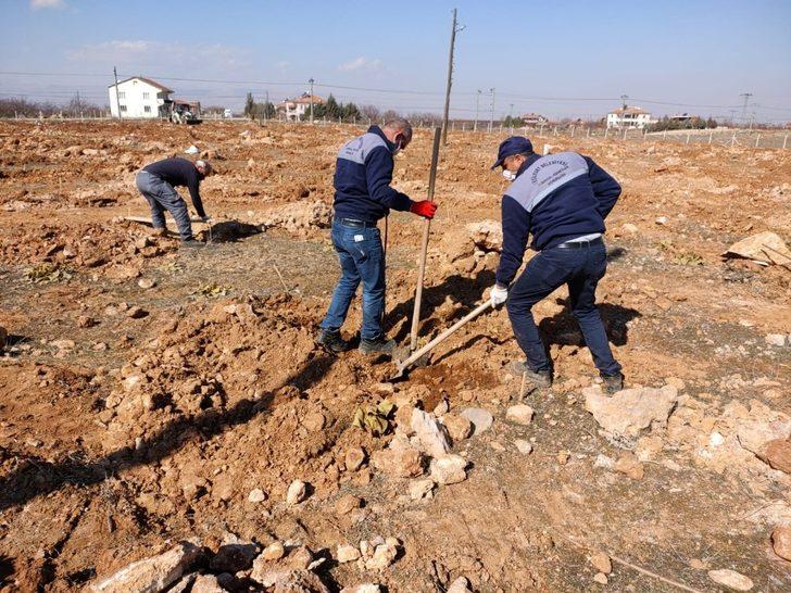 Yeşilyurt Belediyesi ‘kiraz ve vişne bahçesi’ kuruyor G4