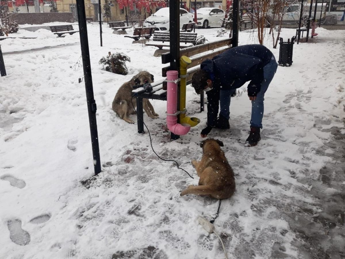 &Ccedil;aldıran Belediyesinden can dostlara şefkat eli