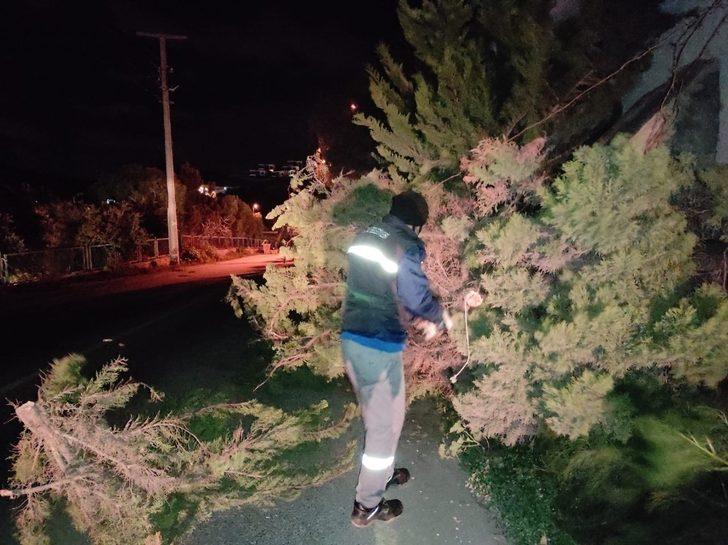 Ağaçlar fırtınaya dayanamadı G5