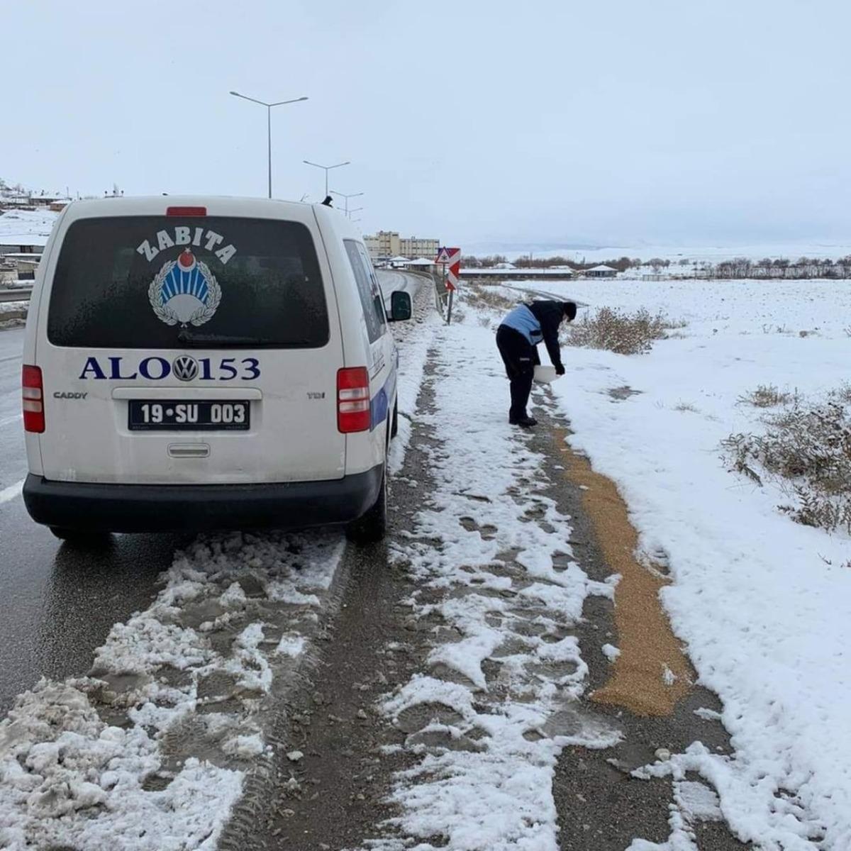 Zabıta ekipleri doğadaki kuşları unutmadı