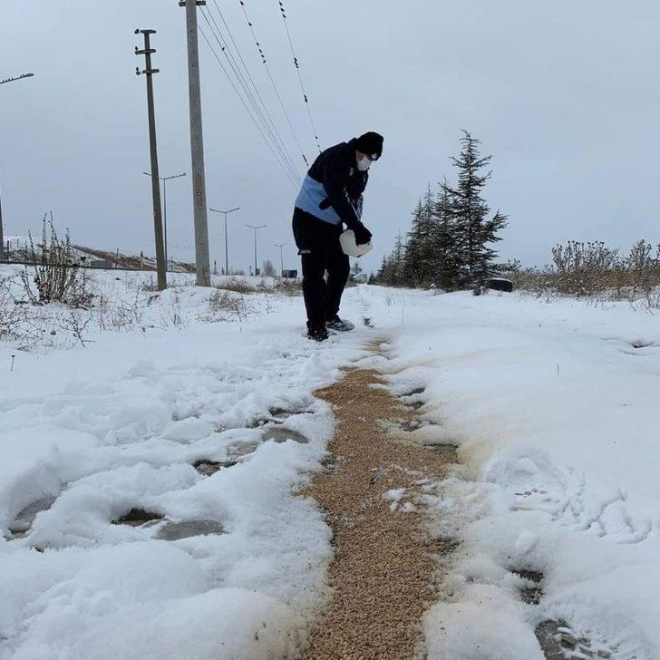 Zabıta ekipleri doğadaki kuşları unutmadı G3
