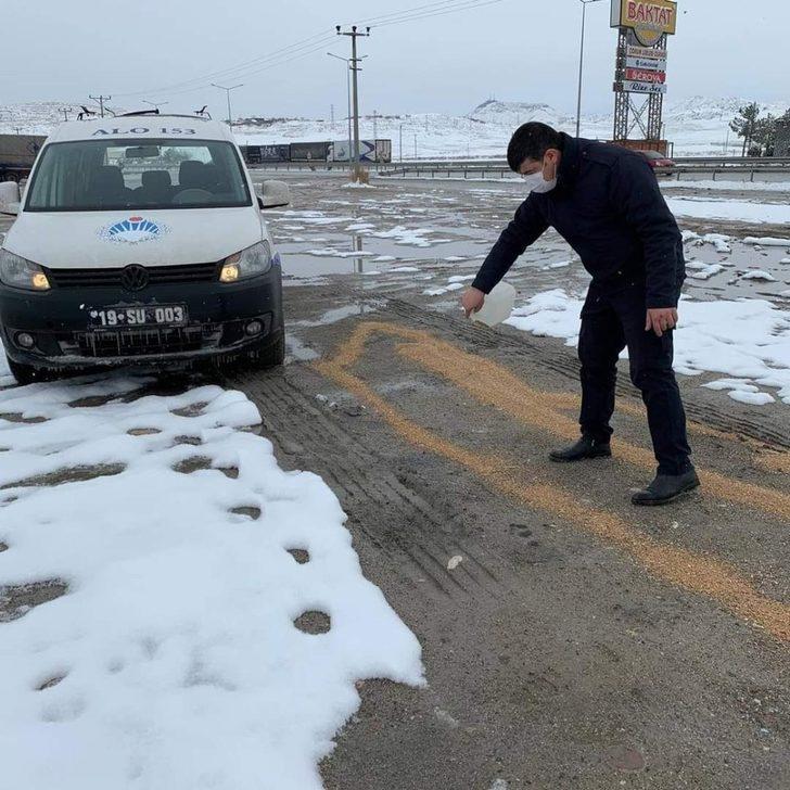 Zabıta ekipleri doğadaki kuşları unutmadı G4