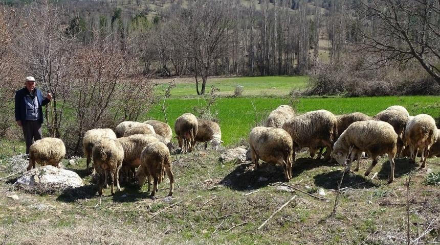 Hisarcık&rsquo;ta 8 k&ouml;y &rsquo;Koruma-g&ouml;zetim b&ouml;lgesi&rsquo; ilan edildi