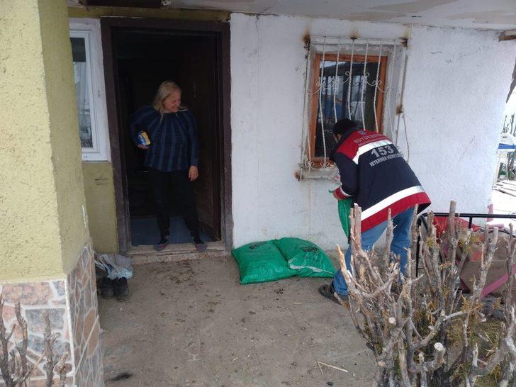 Ankara Büyükşehir Belediyesi’nden can dostlar için soğuk günlerde gönüllülerle iş birliği G5