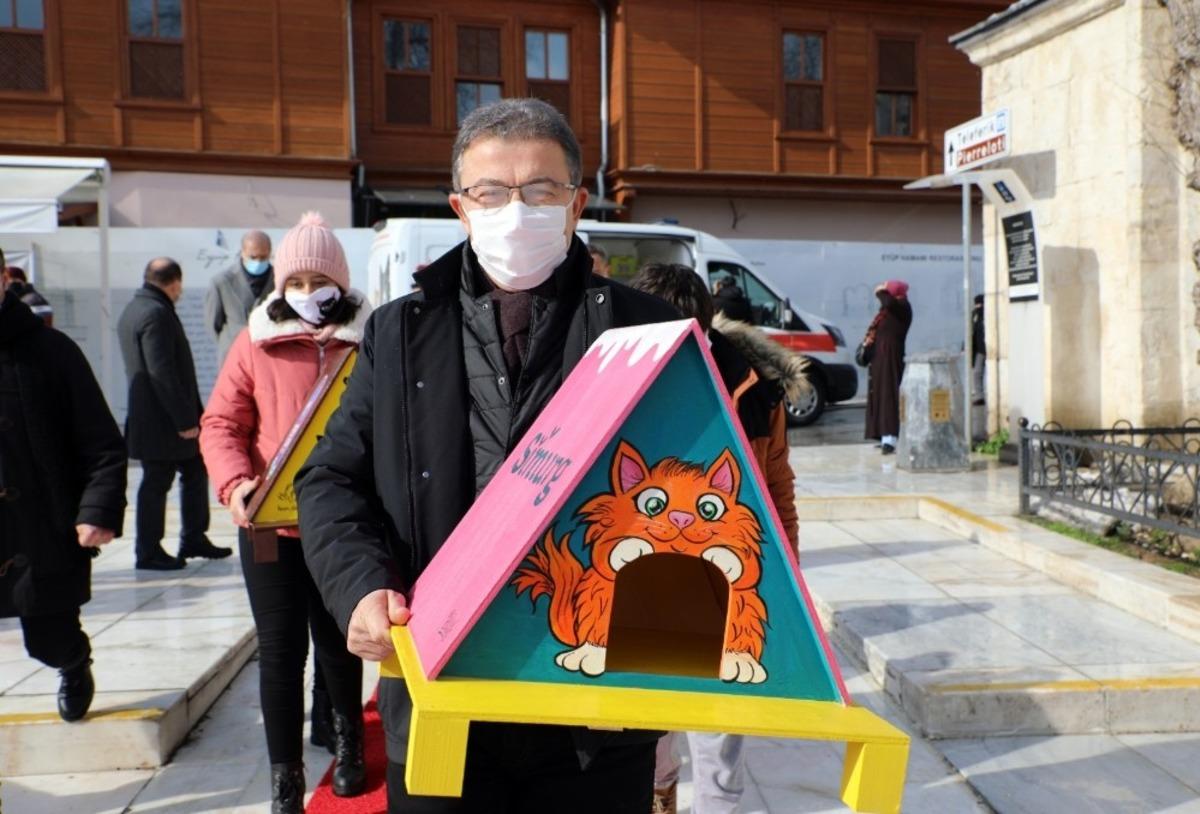 Ey&uuml;psultan&rsquo;da kediler yeni yuvalarına kavuştu