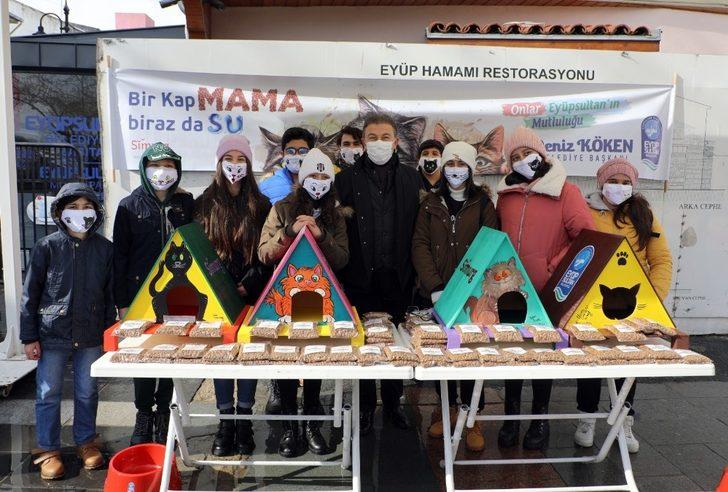 Eyüpsultan’da kediler yeni yuvalarına kavuştu G2