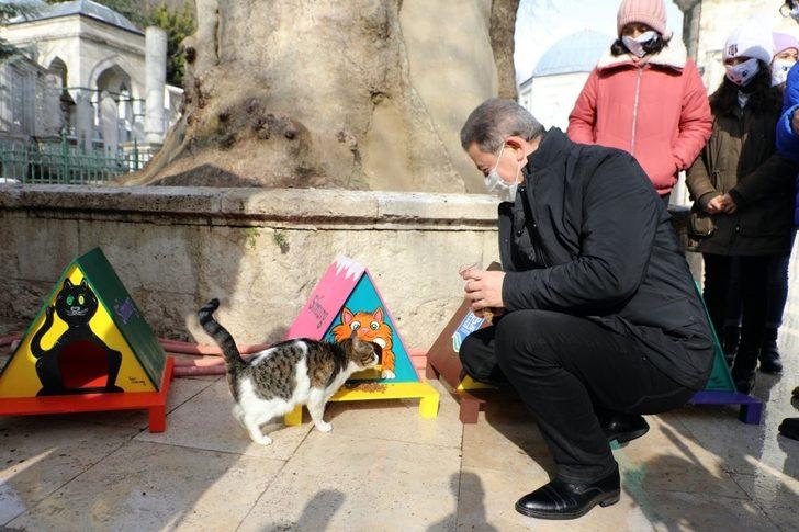 Eyüpsultan’da kediler yeni yuvalarına kavuştu G5