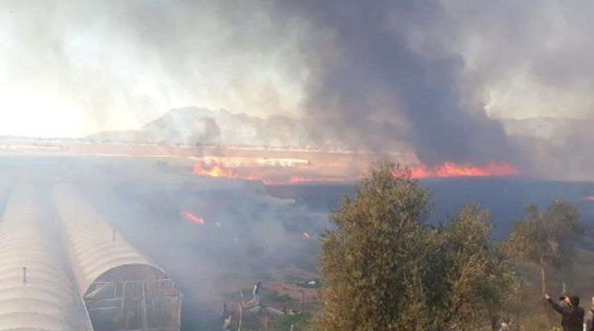 Antalya'da sazlık alanda yangın