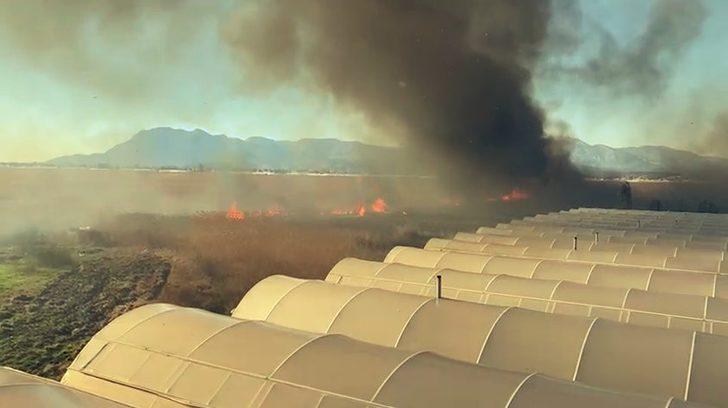 Antalya’da korkutan sazlık yangını G3