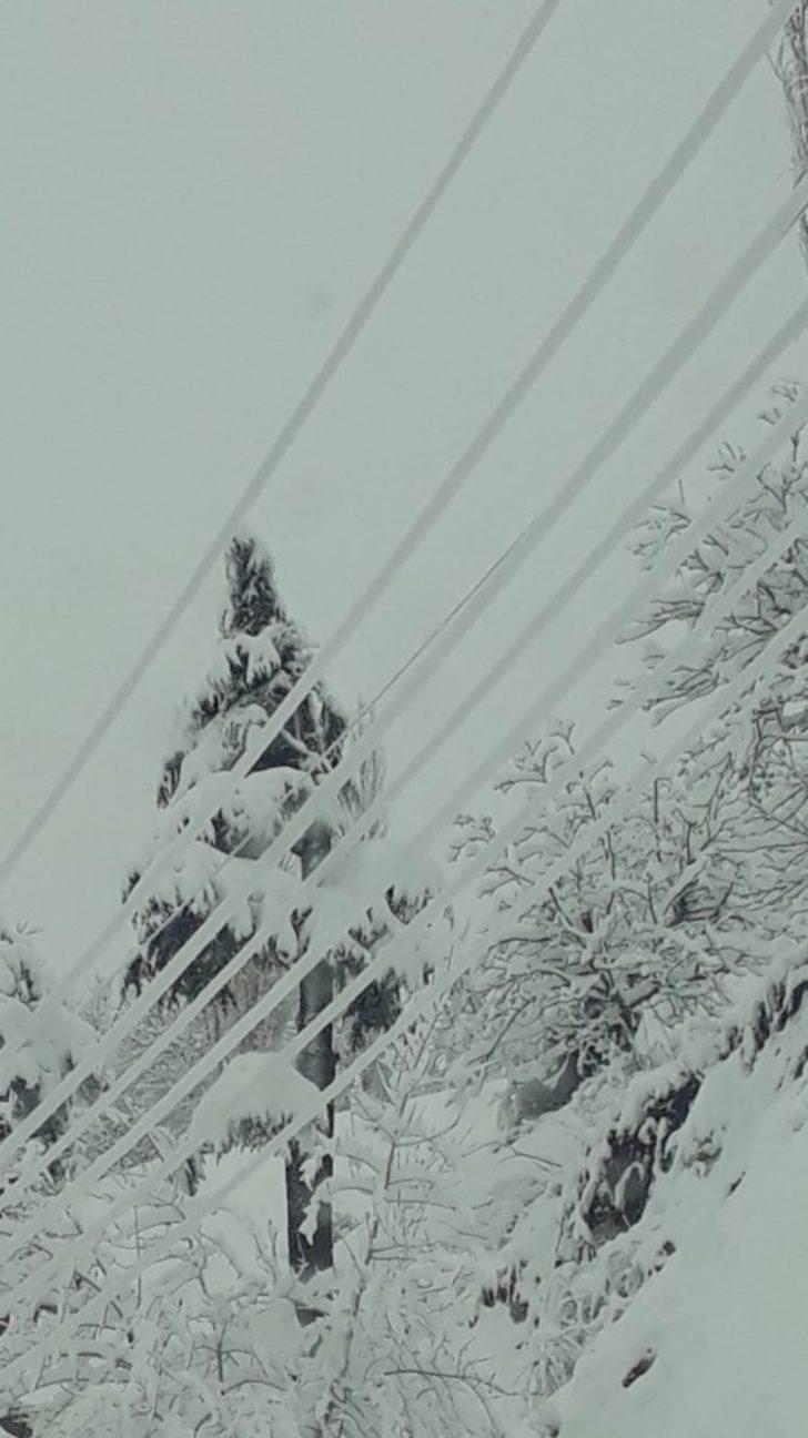 Kar ve tipide elektrik arızalarını gideriyorlar G2