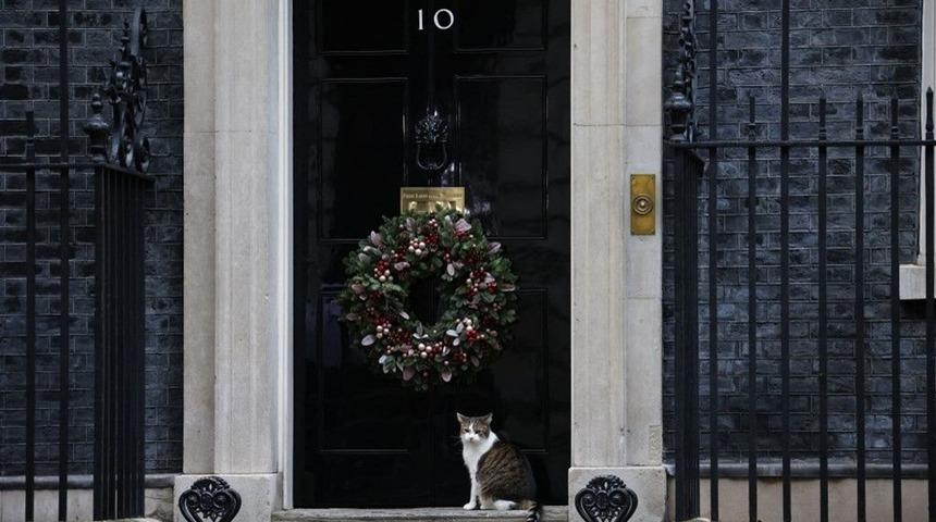 'Baş fareci' Larry 10’ncu yılını kutladı!