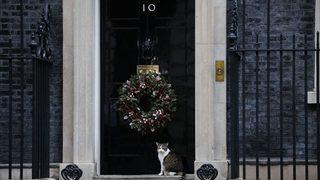 'Baş fareci' Larry 10’ncu yılını kutladı!