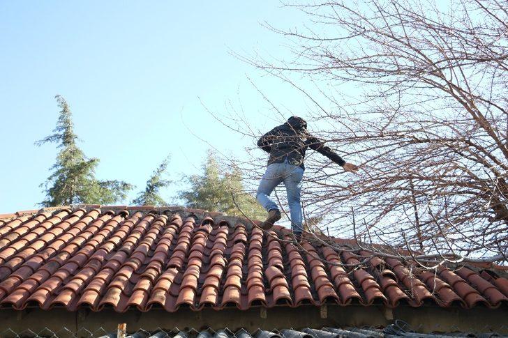 Tavan arasındaki cesede polis kazma ve balyozla ulaştı G5