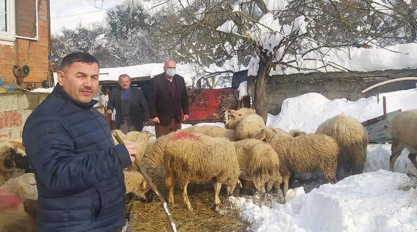 Ağıl &ccedil;&ouml;kt&uuml; koyunlar telef oldu