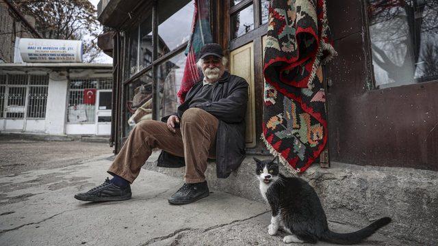 İstanbul sokaklardaki kedi nüfusunun oldukça yüksek olduğu kentler arasında.