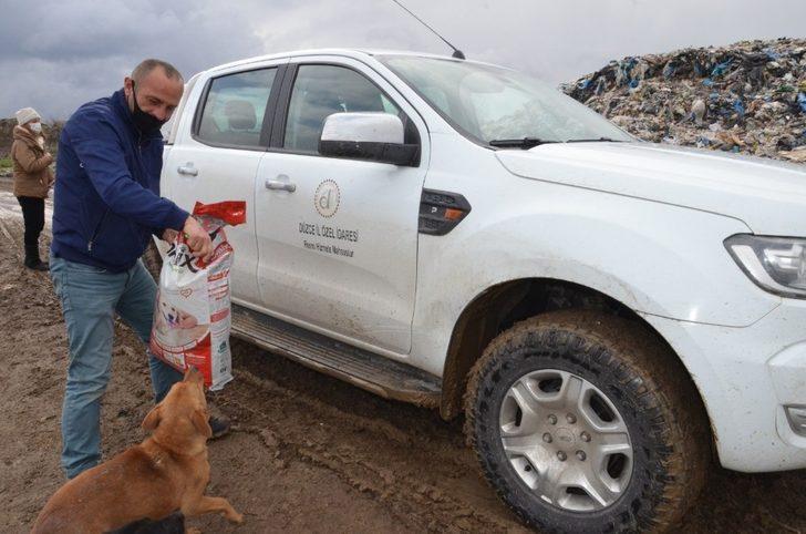 Sokak hayvanlarının yoğun olduğu bölgelerde mama dağıtımı yapıldı G1