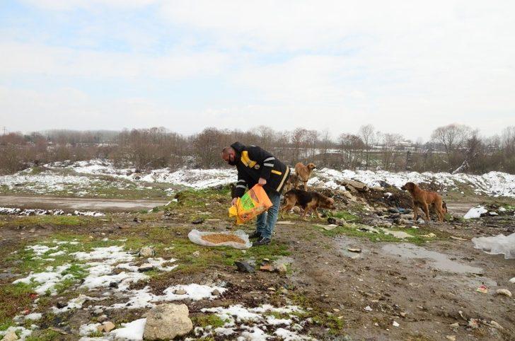 Sokak hayvanlarının yoğun olduğu bölgelerde mama dağıtımı yapıldı G4