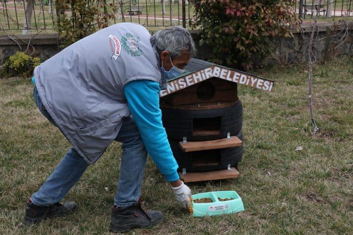 Yenişehir Belediyesi çöp konteynırı üretiminde sonra kedi evi yapmaya başladı G1