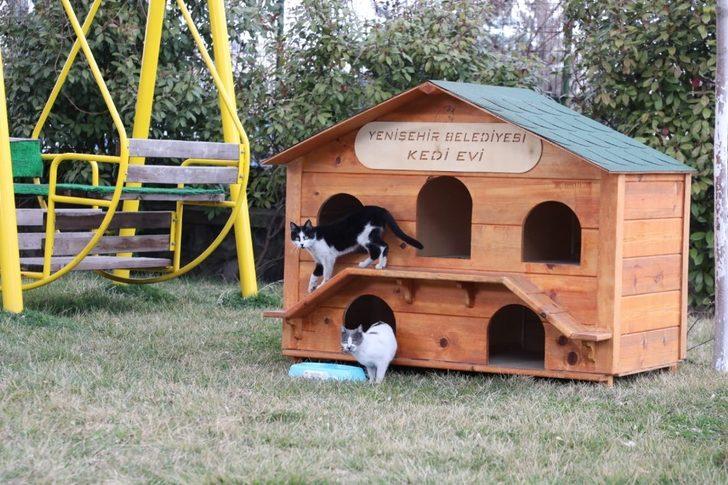 Yenişehir Belediyesi çöp konteynırı üretiminde sonra kedi evi yapmaya başladı G3