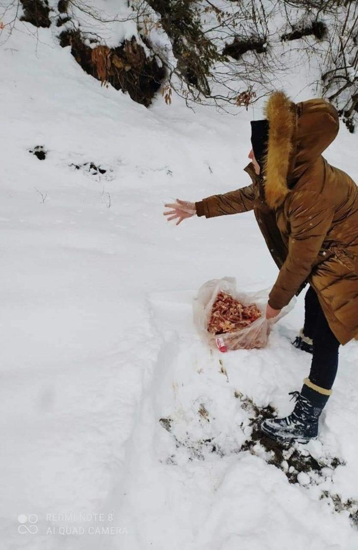 Safranbolu’da yaban hayvanları unutulmadı G2