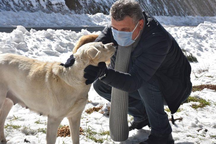 Edremit Belediyesi soğuk havalarda sokak hayvanlarının yanında G3